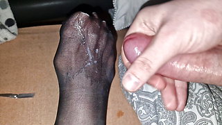 Licking semen of wife's nylon feet - french pedicure and dirty nylon sock of my cum