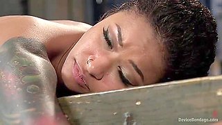 Skin Diamond In Pet Squirting In Bondage And Punished