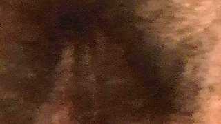 The Hairy Pussy of a Mature MILF
