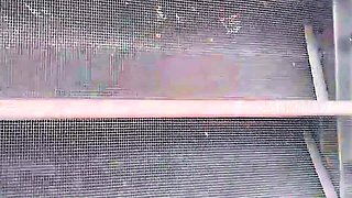 Best Friend in the Shower Invites Me to Fuck Her. Golden Shower and Creampie Ft. Eddie Queens