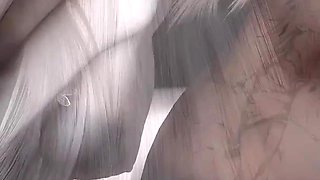 3D Hot Babe Wearing Sexy Lingerie Have Threesome Sex with Big Dick