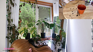 Gardening With Kat- Repotting Monsteras SFW