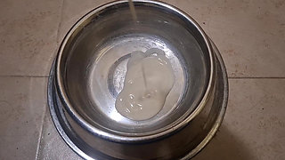 Cute Trans Girl Drinks Huge load of Cum from BBC Dildo on Halloween (Shemale Gokkun)