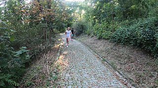 Alexis Crystal & Johnny Nitro – POV Doggy, Big Cock