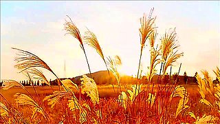 Lee Ah-in-ii And So Ra Three Stepsisters 2022 Korean