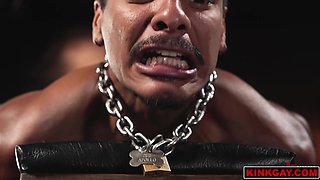 OUCH! Apollo Fates gets PUNCH-FUCKED and flogged until his ass wrecked!