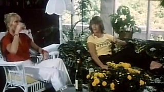 Classic Porn Dvd: Marilyn Chambers Insatiable P