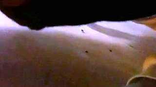 Korean Amateur Sucks Cock in Bathroom Gloryhole