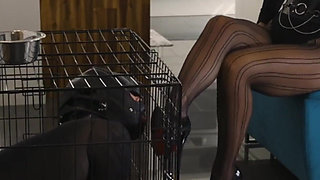 Part 1 My Useless Slave: Humiliation, Cage Confinement, Ass Worship & Ruined - Mistress Julia