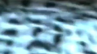 Slut Wife Masturbating in Web Call