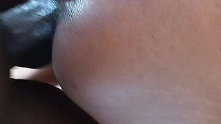 A Horny Day