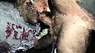 Amateur Bear Sucks His Partner's Big Cock