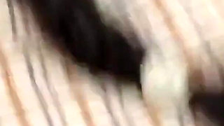 Indian Desi School Sex Viral Mms