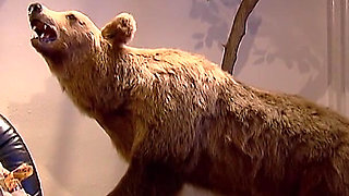 The Old Businessman Bangs His Hot Secretary