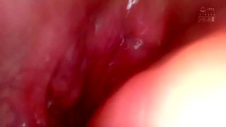 x1x884CAC2BE9FC4BC907