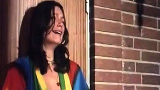 Vintage Swedish vuxenfilm - Fabodjantan 1978
