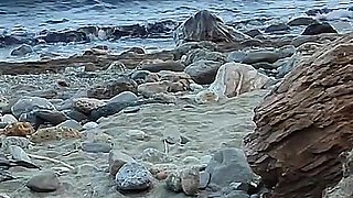 #2 Flashing My Pussy in Front of a Guy in Public Beach and He Helps Me Squirt - It's Very Risky - Misscreamy
