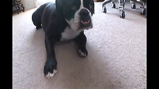 This perfect sexy milf with big tits is ideal to please with a big black cock