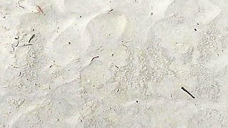 Masturbating Outdoors for Hot Redhead Who Liked It