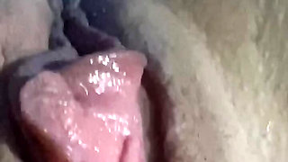 Ass and pussy