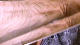 Housewife Wants To Be Fucked