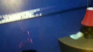 Sexy Black MILF Stripper Gives Blowjob and Anal Sex