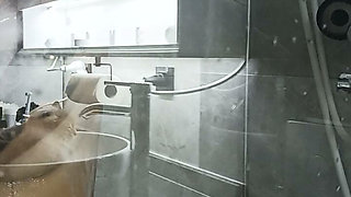 Watch Me Wet in the Shower