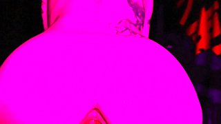 Amateur Webcam Couple Blowjob