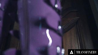 Threesome smut with nice-looking Liv Revamped and Zariah Aura from Transfixed