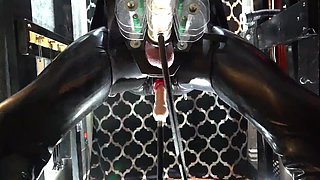 Automated Perversions Compilation