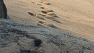 A Stranger Touched My Body on the Beach.