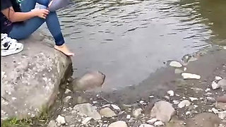 "An afternoon that no one expected"