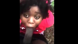 Big Cock Enjoys Blowjob And Hardcore Ride