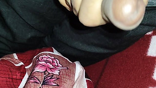 Girlfriend Sex Video