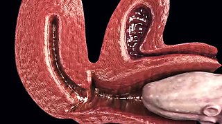 Hentai Redhead Bondage Cumflation Creampie Filled With Loads Of Cum By Toilet Monster With Sata Jones