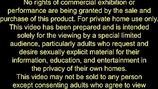 GROOBYGIRLS - Compilation Updates 11th Nov to 15th Nov