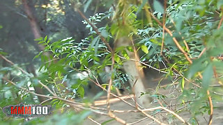Nataly Divine Girl Sucking Her BF in the Wood, Shoot by a Voyeur