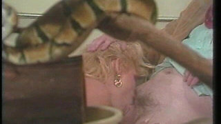 Debi Diamond Blowjob