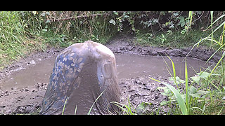 Mud on the outskirts of the city