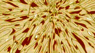 Eternal Magnetic Fantasy lost beyond reality