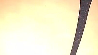 Anal Virgin Takes a Huge Cock in Her Cute Little Ass