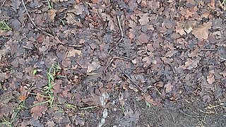 First time outside on camera pissing