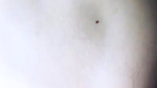 Amateur milf ass fucked on real homemade