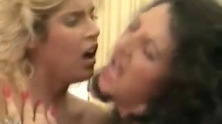 Classic Porn Dvds: Big Busty Babes #4: Part 3
