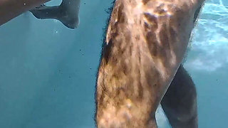 All Natural MILF Julia North Underwater Anal in the Pool