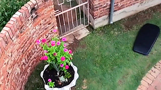 Caught My Neighbours Fucking When Flying with My Drone