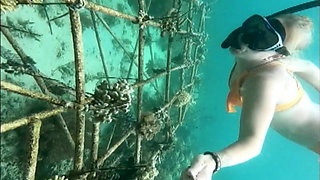 Snorkel Slut: Tight Bikini, Dive Mask & Underwater Fin Tease