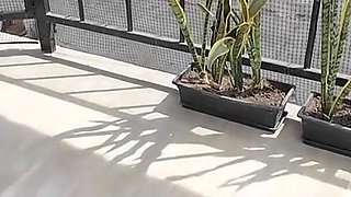 Bad Girl Ebony in Hot Sun Full of Ideas Dirty Talking Her Way the Black Slut Went Wild Exposed Big Pierced Boobs - Mastermeat1