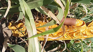 I fucked my sister in law in the corn field