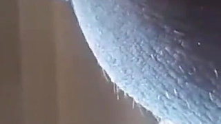 Second View of a MILF Hooded in Nylon, Blindfolded with Duct Tape, Facialized, and Cummed in Mouth